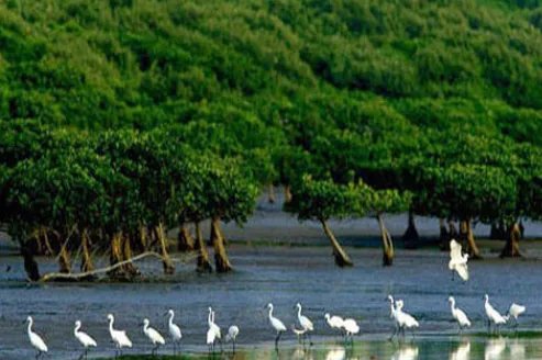 中国十大湿地排名