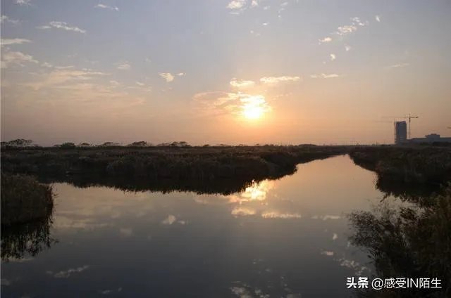 汽车自驾游的感受有哪些？