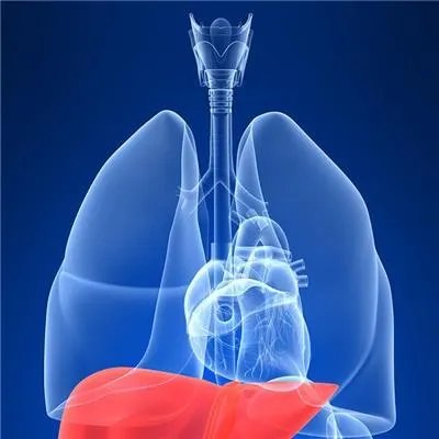 肝癌的的最佳治疗方法