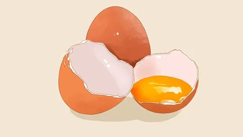 孕妇需要吃dha吗