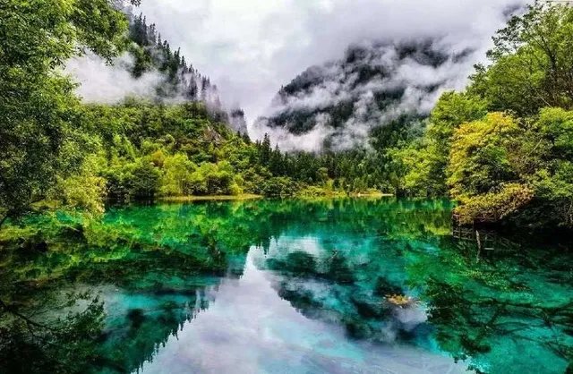 阿坝州为什么老是地震?