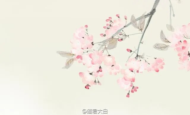 什么QQ女生好看的头像？