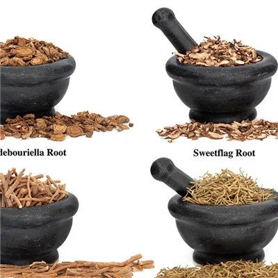 防风的功效与作用及食用方法？