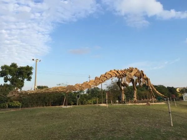 福建省哪里可以看到恐龙化石