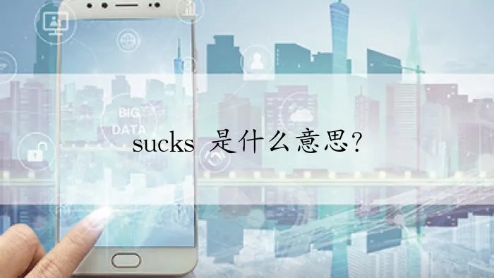 sucks 是什么意思？