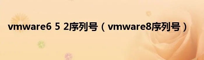 vmware6 5 2序列号（vmware8序列号）