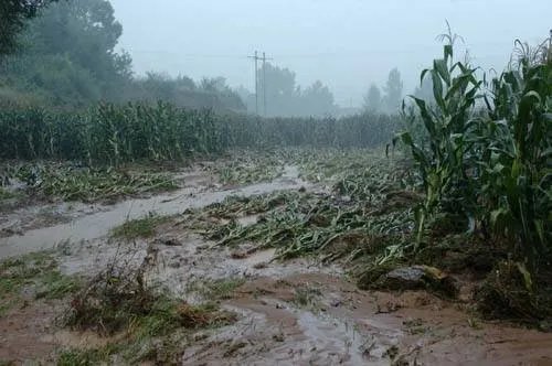 近日7省市将有大到暴雨，在暴雨来临前我们该做哪些准备？