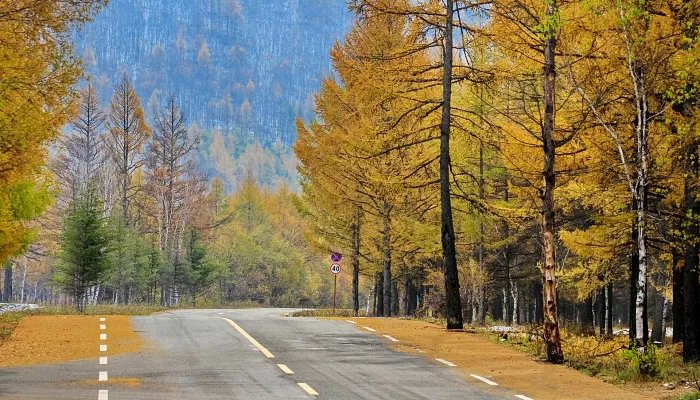 八月十五高速免费吗2021 八月十五中秋节高速免费几天2021