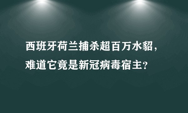 西班牙荷兰捕杀超百万水貂，难道它竟是新冠病毒宿主？
