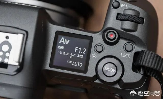 折耳鱼不呼吸在线观看免费