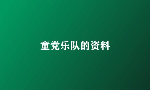童党乐队的资料