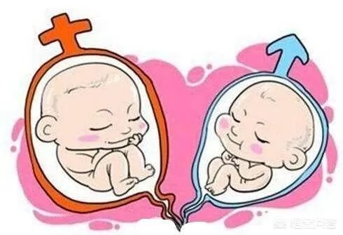 怀了双胞胎，他们会在妈妈肚子里打架吗？