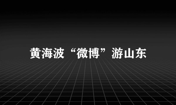 黄海波“微博”游山东