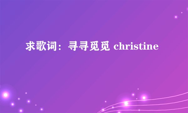 求歌词：寻寻觅觅 christine