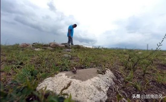 非洲蝗虫成灾，已影响印度和巴基斯坦，会传入中国吗？