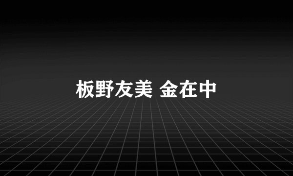 板野友美 金在中