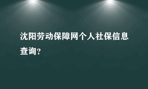 沈阳劳动保障网个人社保信息查询？