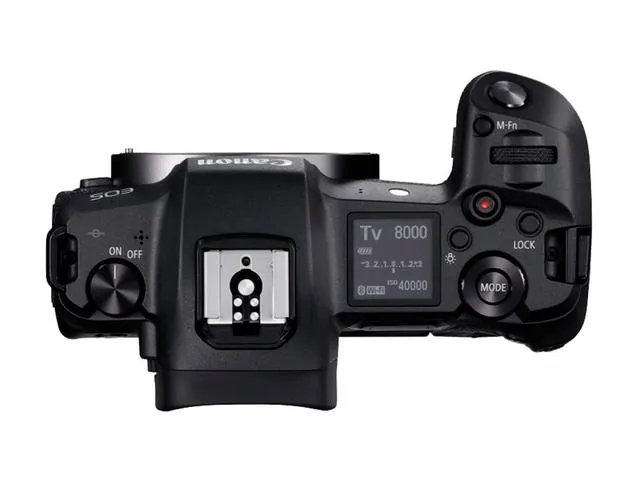 折耳鱼不呼吸在线观看免费