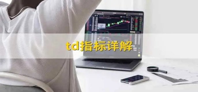 td指标详解,td是什么指标