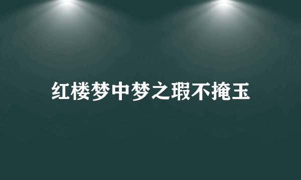 红楼梦中梦之瑕不掩玉