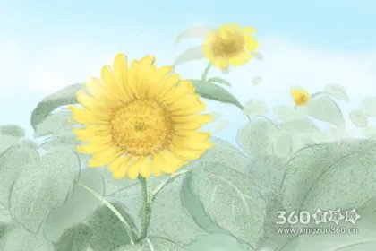 老人养生知识老人 养生有哪些原则