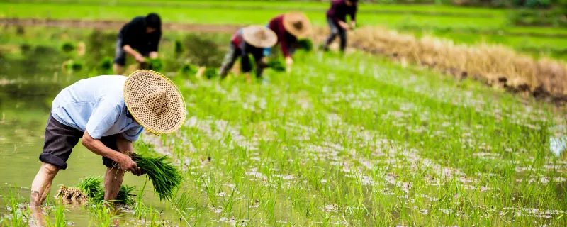 五一高速收费吗 五一高速免费吗