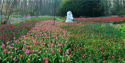 南京十大婚纱摄影 南京婚纱外景地推荐