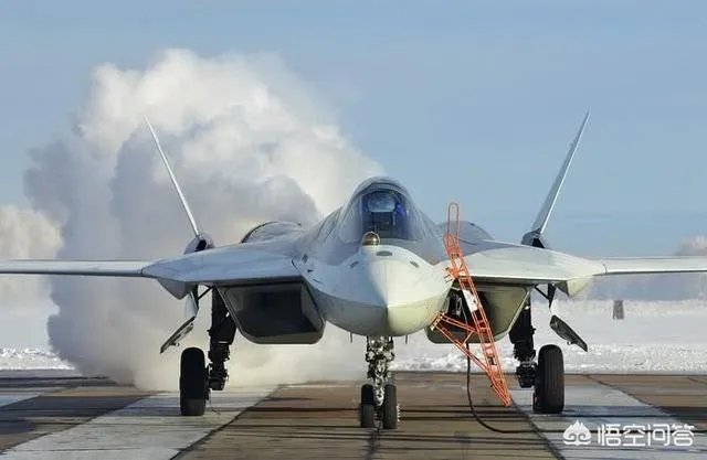 你认为苏霍伊T-50战斗机的实战能力怎么样？