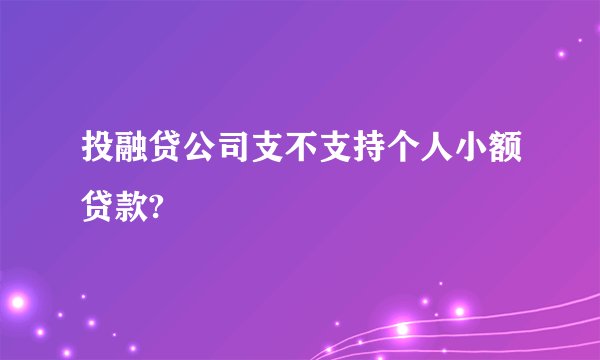 投融贷公司支不支持个人小额贷款?