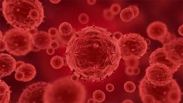 猴痘病毒疫情目前在其他国家的传播形式如何？