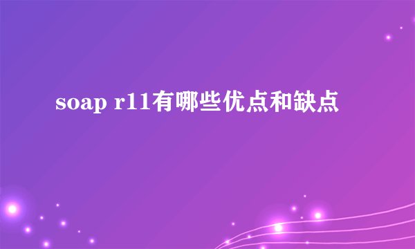 soap r11有哪些优点和缺点