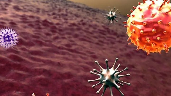 土拉菌病有哪些典型症状