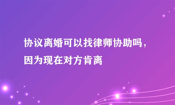 协议离婚可以找律师协助吗，因为现在对方肯离
