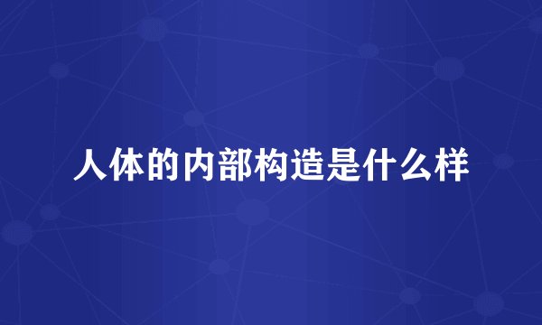 人体的内部构造是什么样