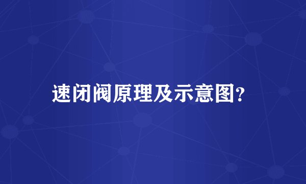 速闭阀原理及示意图？