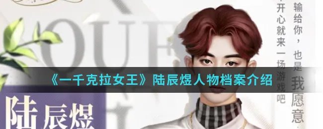 《一千克拉女王》陆辰煜人物档案介绍