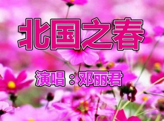 亭亭白桦悠悠碧空微微南来风这是什么歌