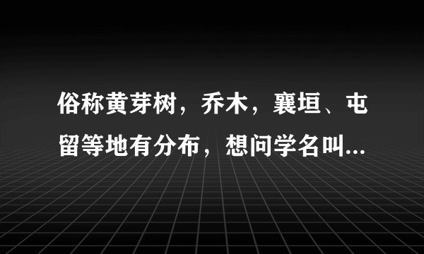 俗称黄芽树，乔木，襄垣、屯留等地有分布，想问学名叫什么，及其相关资料？