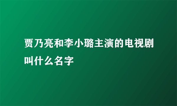 贾乃亮和李小璐主演的电视剧叫什么名字