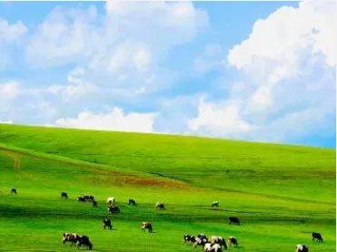 坝上草原的住宿条件怎么样?