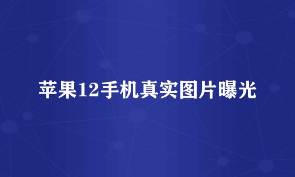 苹果12手机真实图片曝光