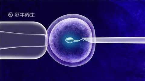 男人的精液能吃吗