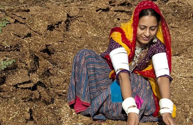用牛粪牛尿等研发药物，印度是不是极度缺乏药材？