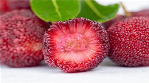 孕妇可以吃杨梅吗