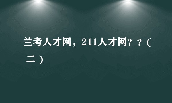 兰考人才网，211人才网？？( 二 )