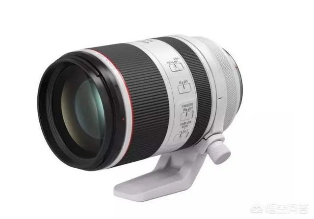 折耳鱼不呼吸在线观看免费