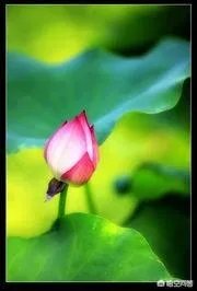 上联：缘来缘去缘已尽，如何对下联？