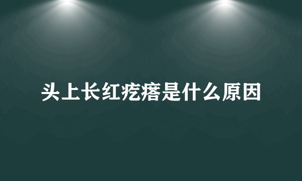 头上长红疙瘩是什么原因