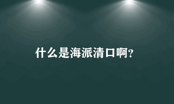 什么是海派清口啊？