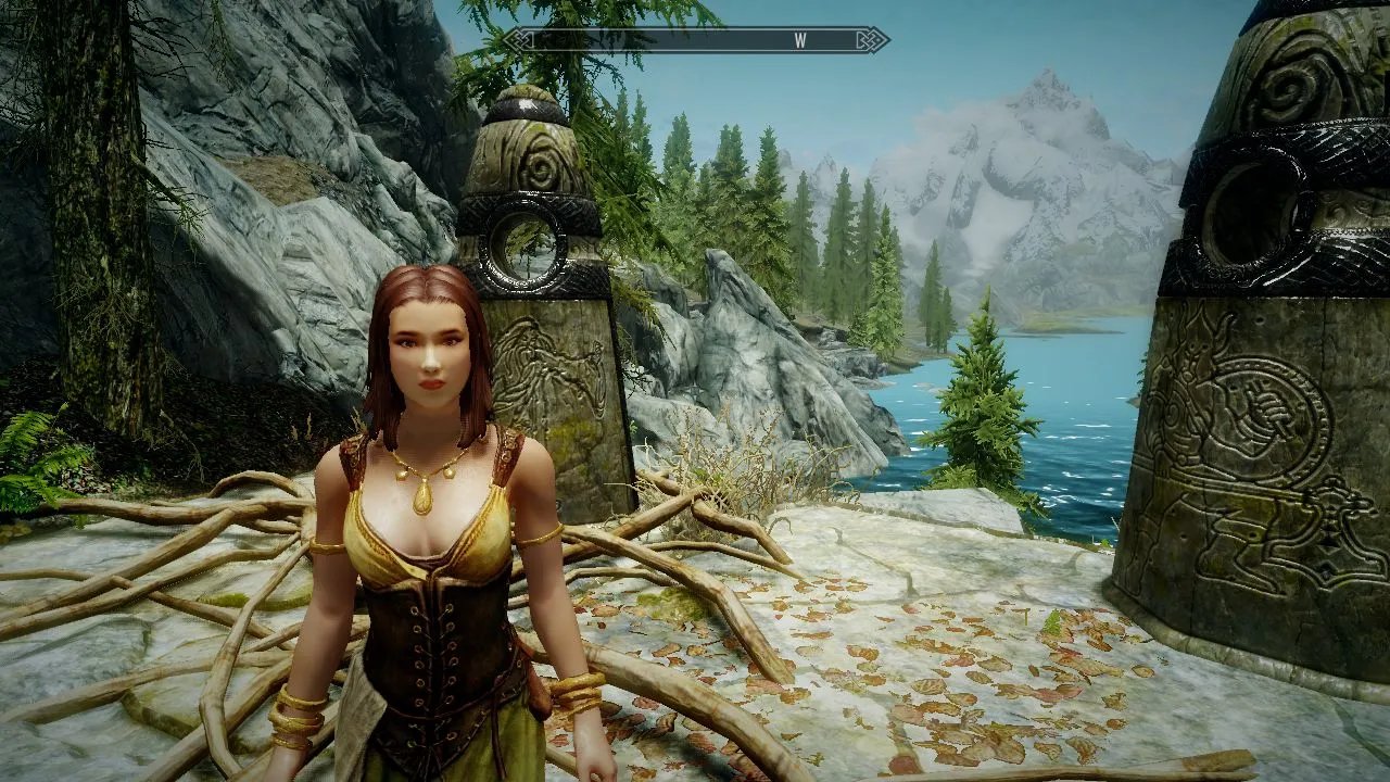 上古卷轴5初始美女存档有的给发下谢谢！